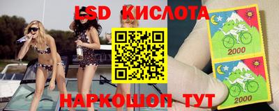 стаф Кандалакша