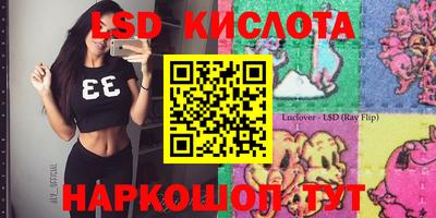 стаф Кандалакша