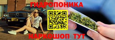 стаф Кандалакша