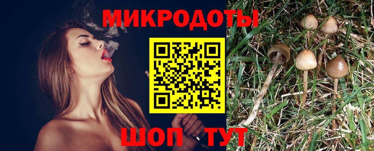 Псилоцибиновые грибы GOLDEN TEACHER Армавир